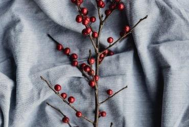 Sunt aut facere repellat provident excepturi